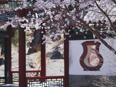 -颐和园