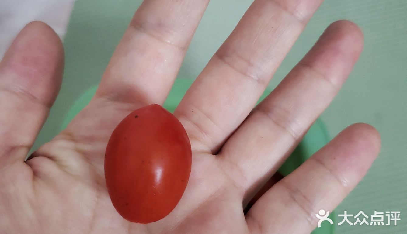 小番茄贼小贼好吃