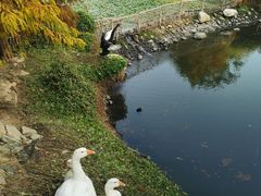 -厦门园林博览苑