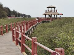 -北海金海湾红树林生态旅游区