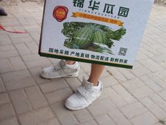 -庞各庄西瓜蔬菜采摘园·锦华瓜园
