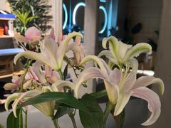 -施奈儿.洗头頭療.按摩SPA.采耳(上梅林店)