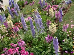 -深圳国际园林花卉博览园