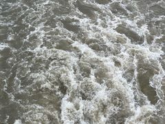 -黄浦江游览快线(金陵东路码头)