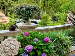 -叶叶菩提·晋福宫