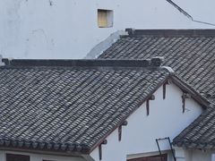 -练塘古镇