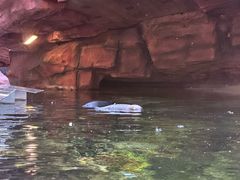 -长鹿旅游休博园