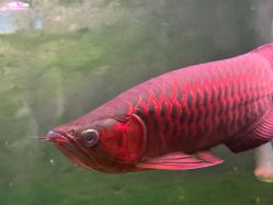 -青木造型HAIR·あおき髪を刈る潮人店