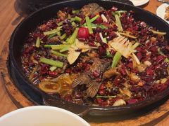 -老板恋上鱼(恒隆广场店)