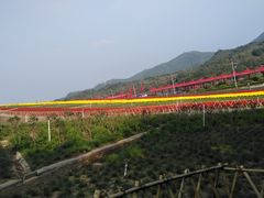-东部华侨城