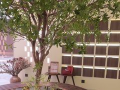 -静耳元気采耳·按摩·SPA(万象前海店)