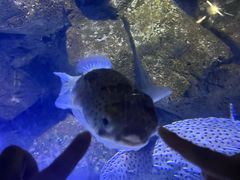 -成都浩海立方海洋公园