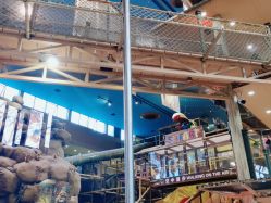 -卡通尼·Safari非洲探索乐园·生日会(金桥国际商业广场店)