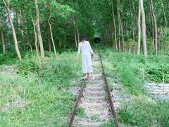 -合肥滨湖国家森林公园