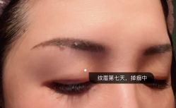-MIVI半永久纹眉机器野生眉纹唇