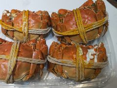 -阳澄湖大闸蟹·琼灵阁牌品牌连锁(吴中总店)