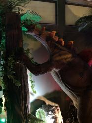 -恐龙探索乐园(磁器口店)