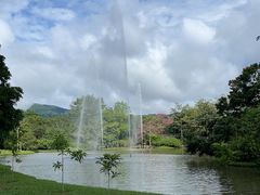 -中国科学院西双版纳热带植物园