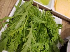 茼蒿-彤德莱火锅(大学城店)