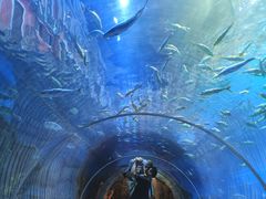 -华夏文旅海洋公园