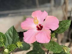 -广州市紫泥堂文化创意园景区