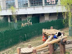 -牛YO寿喜烧和牛火锅自助(三台子万象汇店)