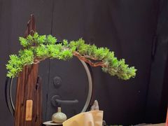 -文三酒肆自助放题(新街口友谊广场店)