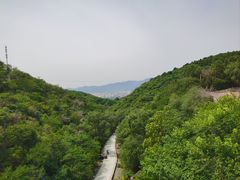 -北京西山国家森林公园