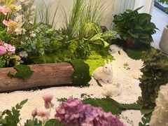 -金春锅贴(北京西路店)