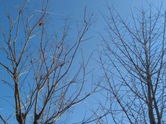 -意大利农场度假村