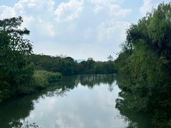 -西溪国家湿地公园