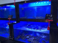 -小海丁