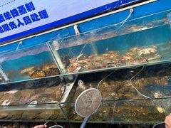 -仙螺岛海鲜自助餐厅(总店)