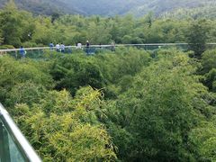 -陶祖圣境风景区