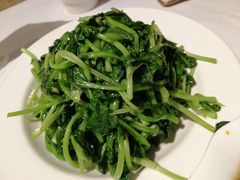 清炒鸡毛菜-峨嵋酒家(地安门店)