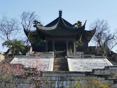 -广富林郊野公园