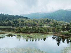 -普达措国家公园
