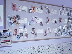 -毛绒耶耶撸宠馆·猫咖·狗咖·荷兰猪咖