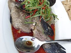 -正德楼果木烤鸭·渔家菜(东港店)