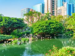 -九龙公园