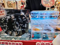 -武汉荟聚