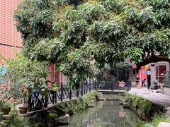 -小洲村