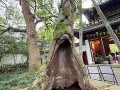 -岳王庙