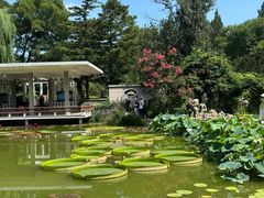 -国家植物园南园