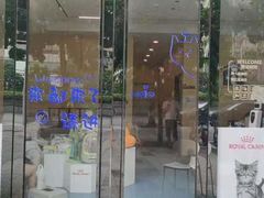 -泰洋动物医院·神经专科·磁共振·CT(天河公园总院)
