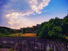 -铁山坪森林公园