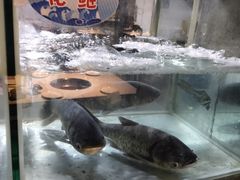 -蛙鱼道美蛙鱼自助火锅(新耍都店)