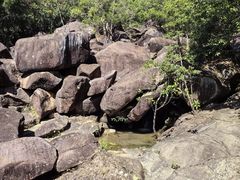 -广州白江湖森林公园