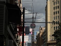 -成隆行·蟹王府(九江路店)