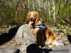 景点-玉渡山自然风景区